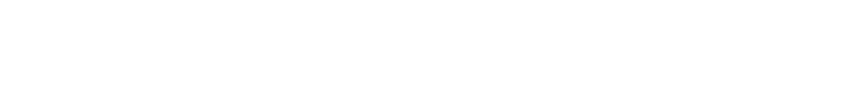 convz logo